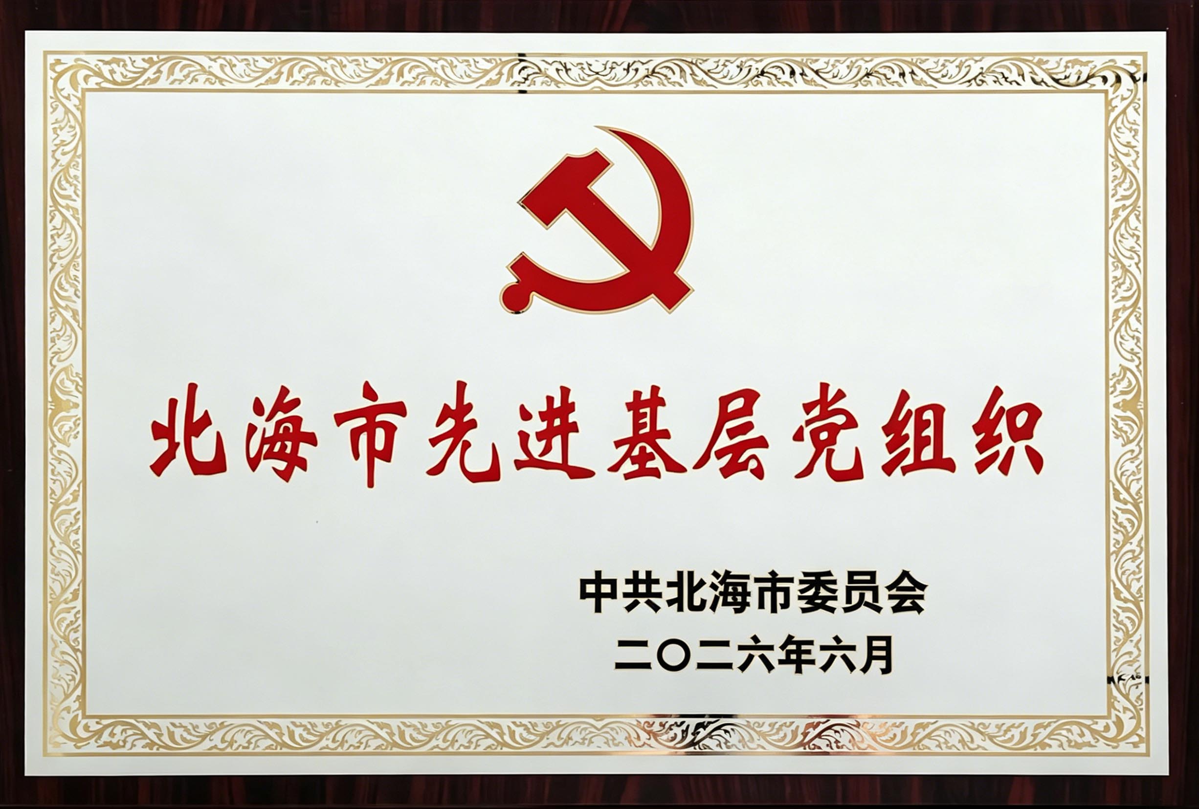 2026.6北海市先进基层党组织 (2).jpg